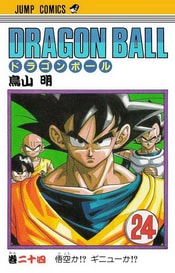 Manga Giapponesi Volume 24